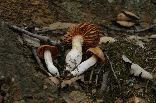 Da determinare 28.03.09